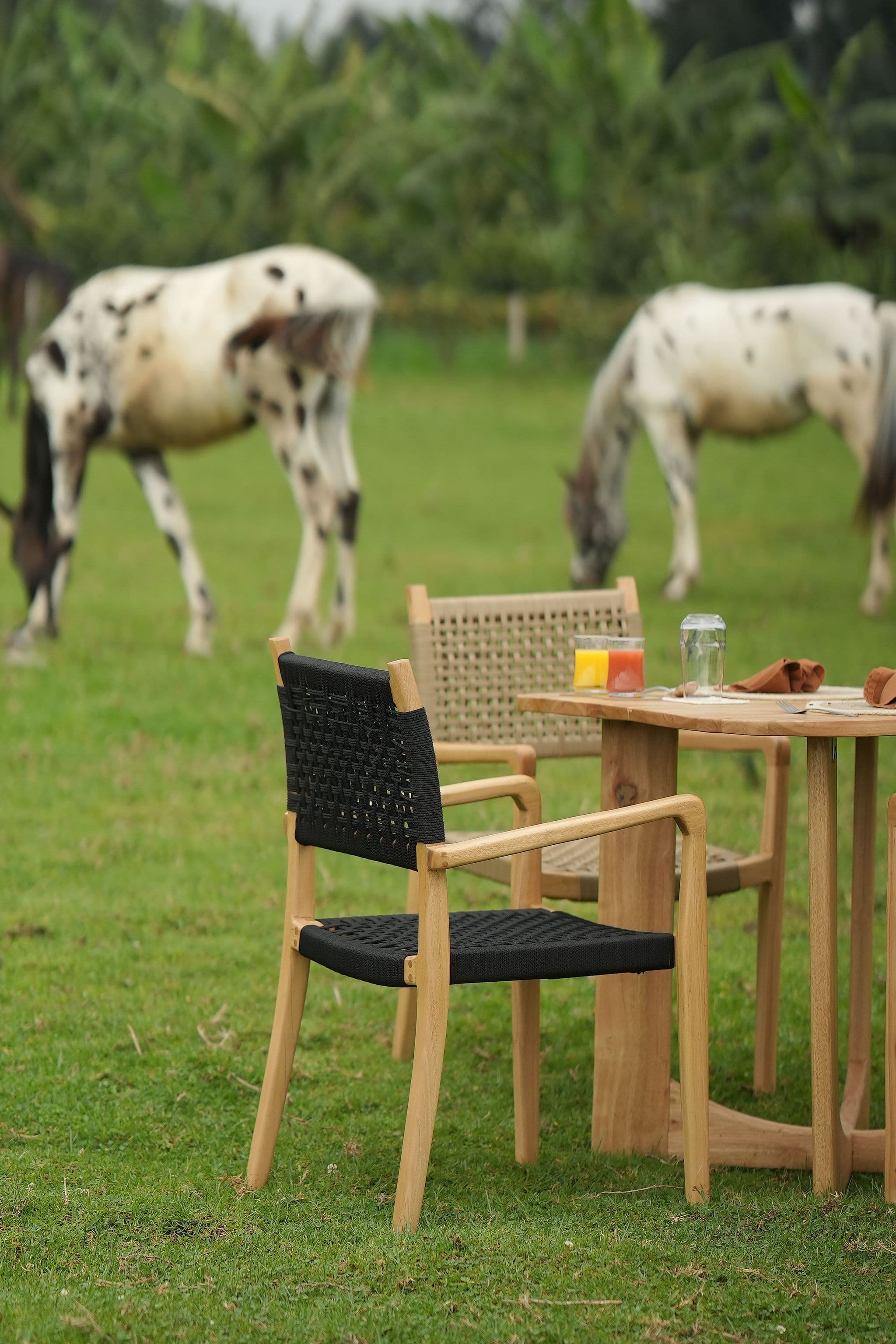 Reborn — Dining Arrangement